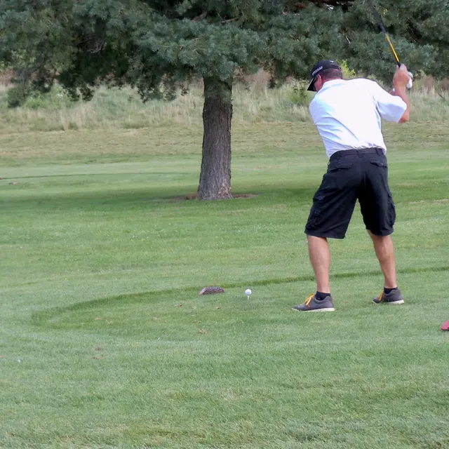 Ohmi Cup tournament photo from 2013