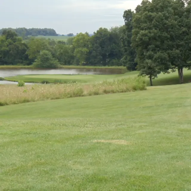 Ohmi Cup tournament photo from 2015