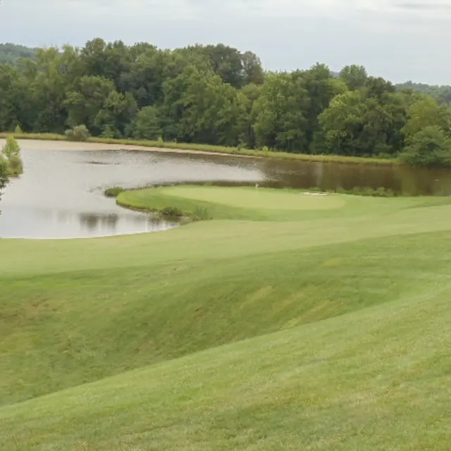 Ohmi Cup tournament photo from 2015