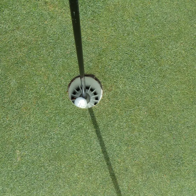 Ohmi Cup tournament photo from 2016
