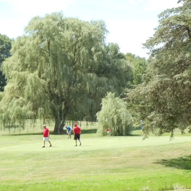 Ohmi Cup tournament photo from 2017