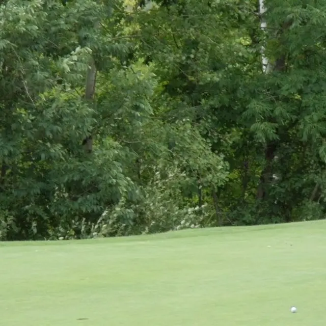 Ohmi Cup tournament photo from 2017