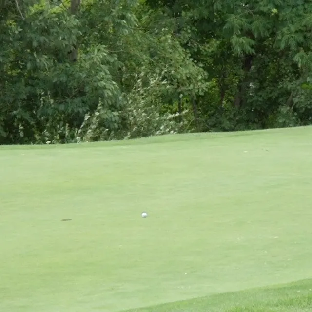 Ohmi Cup tournament photo from 2017