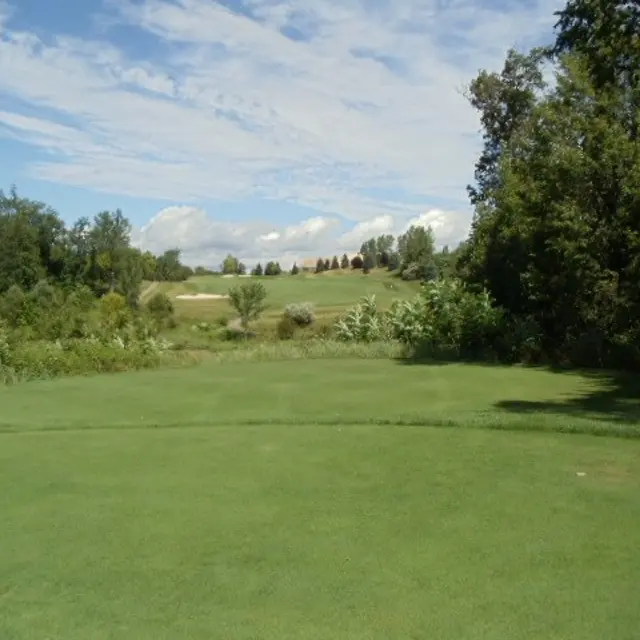 Ohmi Cup tournament photo from 2017