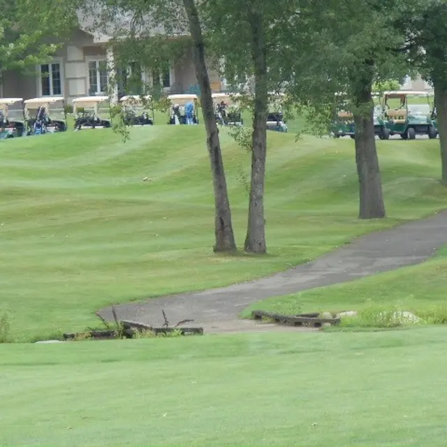 Ohmi Cup tournament photo from 2017