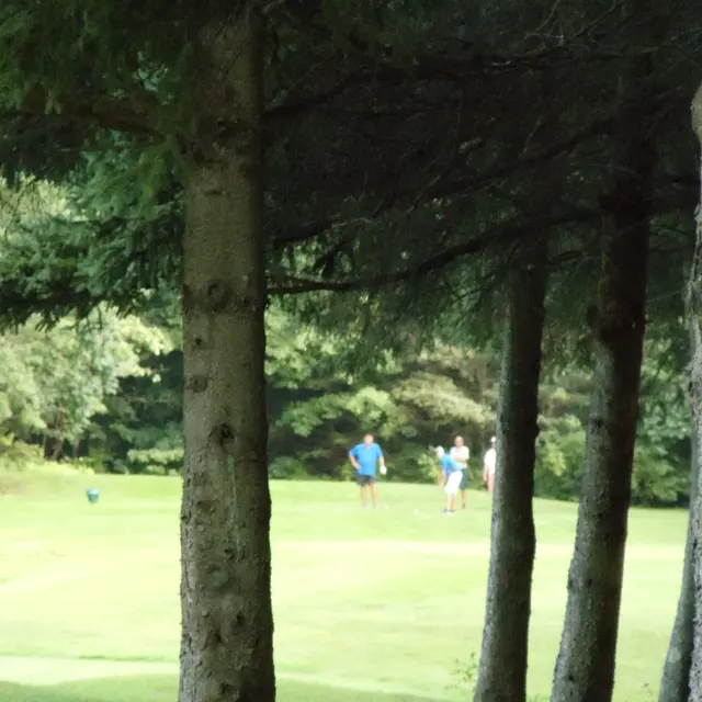 Ohmi Cup tournament photo from 2018