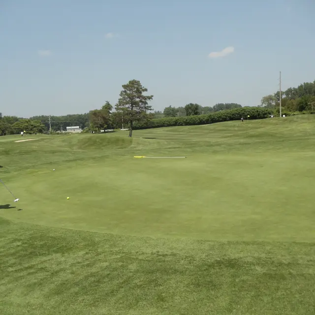 Ohmi Cup tournament photo from 2023
