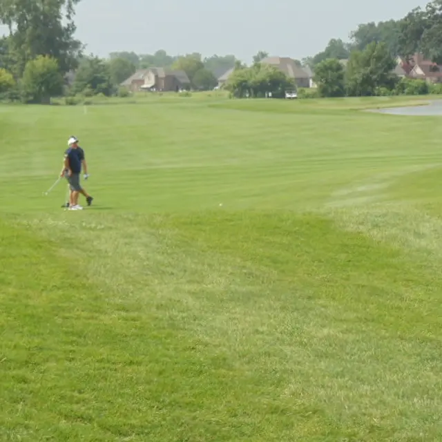 Ohmi Cup tournament photo from 2023