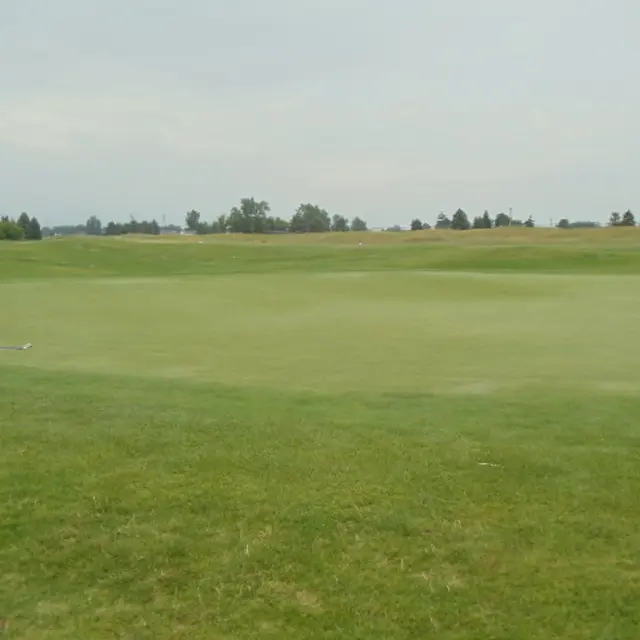 Ohmi Cup tournament photo from 2023